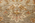 3 x 11 Vintage Earth-Tone Indian Sultanabad Rug 76919