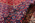10 x 13 Vintage Persian Hamadan Rug 77149