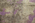 6 x 10 Vintage Turkish Overdyed Rug 60627