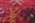 5 x 12 Vintage Talsint Moroccan Rug 20675