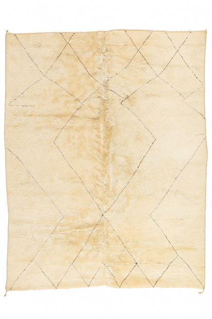 10 x 13 Organic Modern Beni Mrirt Moroccan Rug 20716