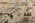 10 x 12 Modern Earth-Tone Turkish Oushak Rug 52360