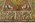 3 x 11 Vintage Turkish Oushak Rug 52411