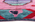 10 x 13 Colorful Pink Beni Mrirt Moroccan Rug 21102