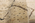 11 x 12 Organic Modern Beni Mrirt Moroccan Rug 21152