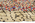 5 x 10 Vintage Moroccan Azilal Rug 21455