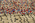 5 x 10 Vintage Moroccan Azilal Rug 21455